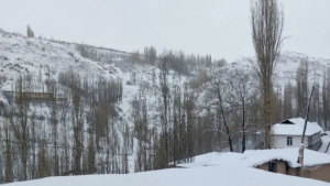 8–10-dekabr: O‘zbekistonda sovuq va yog‘ingarchilik kutilmoqda