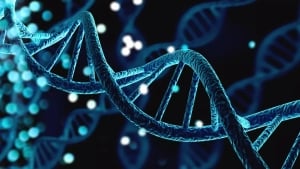 The first complete human genome was sequenced in Uzbekistan