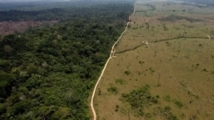 Dunyo o‘rmonlari iqlim o‘zgarishidan jiddiy zarar ko‘rmoqda