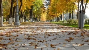 O‘zbekistonda 6-9 oktabrda iliq va qulay ob-havo