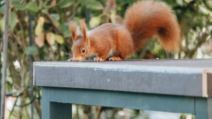 Olmaxon причина пожара в доме: семья осталась без жилья