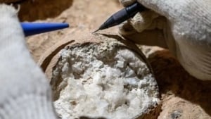 Xitoyda 86 million yillik tuxum topildi