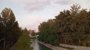 Forest classification platform created in Uzbekistan