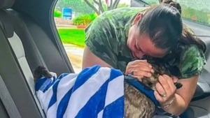 Blyu it sakkiz yildan keyin topildi va uyiga qaytdi