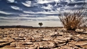 Water scarcity is increasing in East Anglia