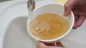 Causes of hot water discoloration in Tashkent identified