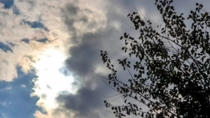 O'zbekistonda yangi hafta iliq va quruq ob-havo bilan boshlanadi