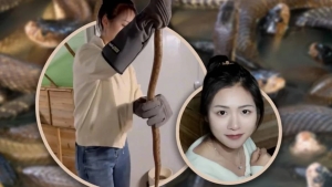 Chinese Woman Earns Massive Profits Breeding Venomous Snakes