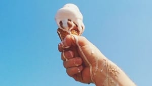 Erimaydigan muzqaymoq ishlab chiqildi yangi texnologiya