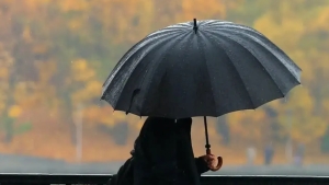 Weather forecast for the regions of Uzbekistan on April 3rd