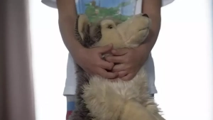 Toy dispute among children in Kazakhstan ended