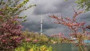 Short-term rains are expected in Uzbekistan in April
