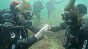 A young diver proposed marriage underwater in Crimea
