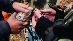 Oktyabrskiyda yong‘indan kabutarlar qutqarildi