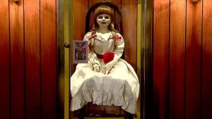 Mett Rayf Uorrenlar kolleksiyasiga vasiylik qildi