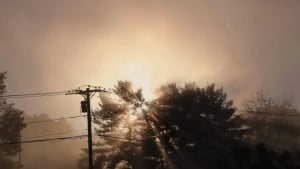 22 ноября: В Узбекистане ожидается теплая погода и туман