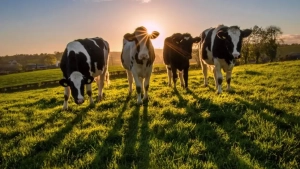 Australian model who transitioned from OnlyFans to farming