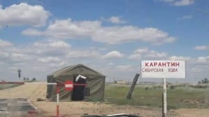 Otbosar tumanida kuydirgi kasalligi sabab karantin joriy etildi