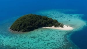 Islandiyada sun’iy intellekt boshqaruvi joriy etildi