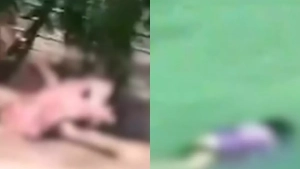 Qashqadaryoda ikki ayol okdaryo oqimida cho‘kib vafot etdi