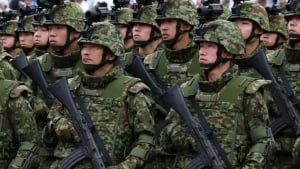 Yaponiyada ayiqlar hujumlari kuchaydi, armiyaga topshiriq berildi