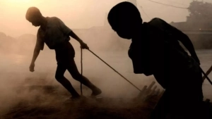 Majburiy mehnatga qarshi tekshiruvlar maktablarda boshlandi