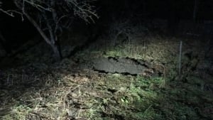 It has been confirmed that an Uzbek migrant was killed in Vladimir