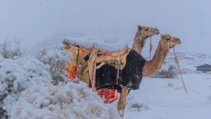 Snow fell in Saudi Arabia after 30 years