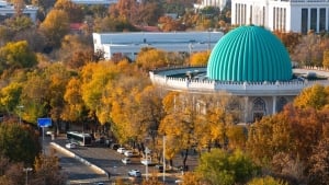 13-noyabrda ob-havo iliq va yog‘ingarchiliksiz bo‘ladi