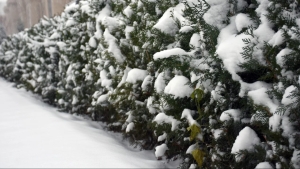 Tomorrow, there will be snow, rain, and fog in some areas