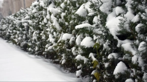 Tomorrow, there will be snow, rain, and fog in some areas