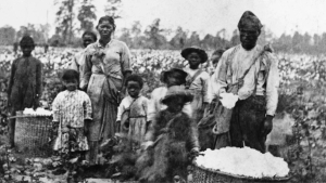 History of the cotton industry and forced labor