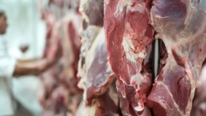 Kazakhstan introduced a new quota for beef exports