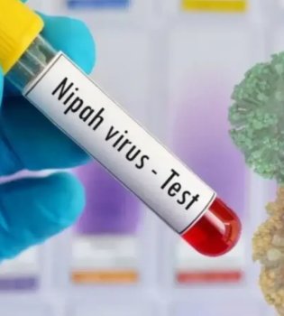 Начинаются испытания вакцины против вируса Нипах