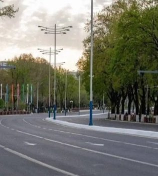 Государственным служащим вводятся дни без автомобилей