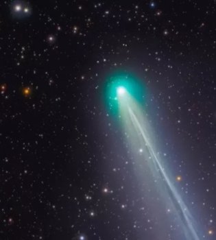 Lemmon comet will be visible in Uzbekistan on October 21