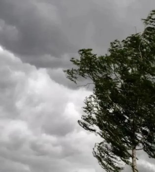 O'zbekistonda ob-havo sharoiti o'zgaruvchan kechishi kutilmoqda