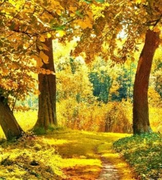 On October 27, the weather in Uzbekistan will be variable