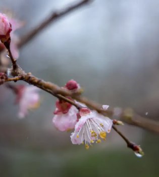 22 февраля: Теплая и ясная погода по всему Узбекистану