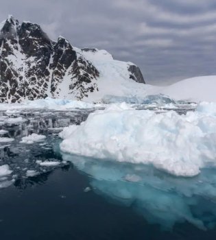 Антарктические льды сокращаются, создавая глобальную угрозу