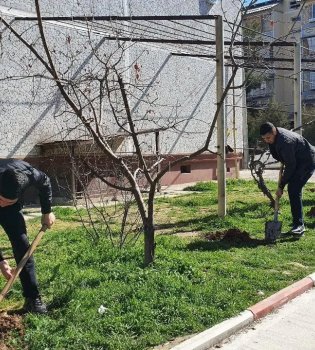 В Узбекистане учреждена нагрудная медаль «Молодой эколог»