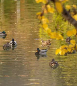 February 4: The weather will be clear in most areas