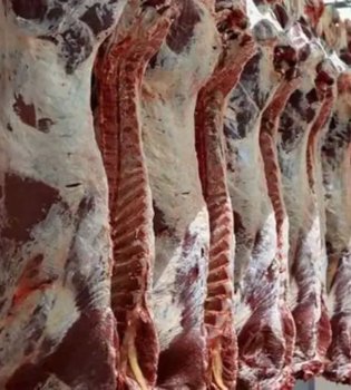 Qozog'istonda go'sht narxi eksport tufayli yuqori qolmoqda