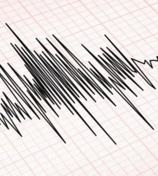 Tojikistonda yuz bergan kuchli zilzila O‘zbekiston hududlarida ham sezildi