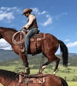 OpenAI mashhur Sora video platformasini yopishga qaror qildi