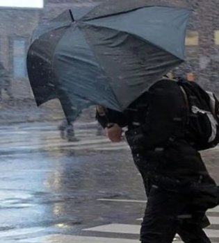 14 февраля в Узбекистане будет тепло