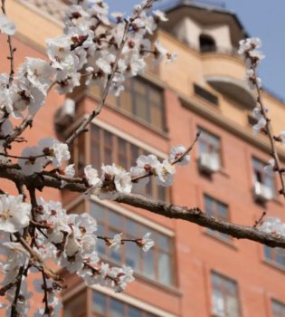 Прогноз погоды на 13 марта от Узгидромета опубликован