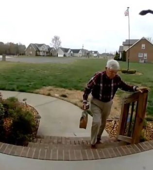 A Good Courier Changed the Fate of an Entire Family