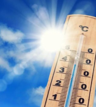 18-fevralda O‘zbekistonda havo iliq, lekin shamolli bo‘ladi.