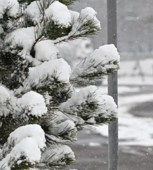 Ertaga O‘zbekistonda havo o‘zgaruvchan bo‘ladi